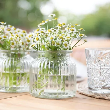 Sea Twin 2 Appartement Zingst